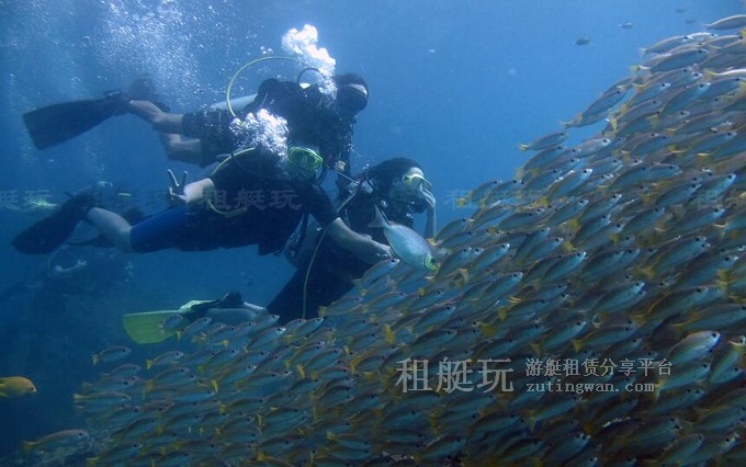 租游艇出海玩什么？十類炫酷水上玩具