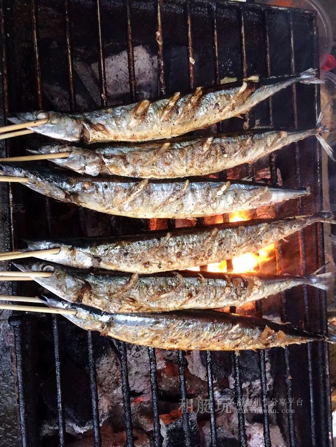 大圖無(wú)人島上自助BBQ.jpg